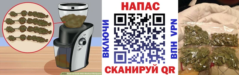 ссылка на мегу как войти  Георгиевск  Canna-Cookies конопля 