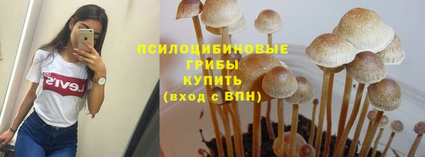 скорость Арсеньев