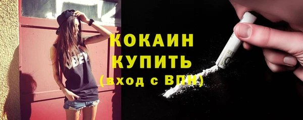 прущий лед Алзамай
