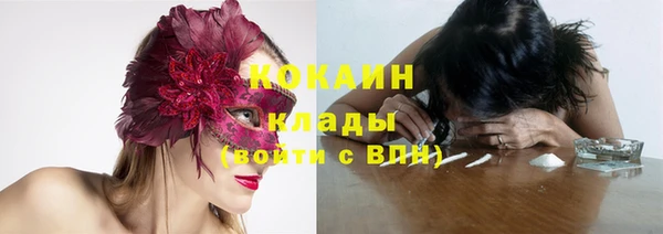 ПСИЛОЦИБИНОВЫЕ ГРИБЫ Аркадак