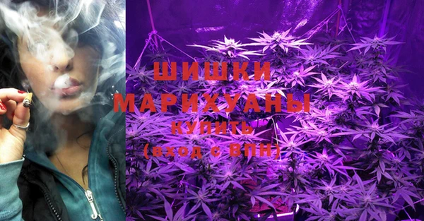 ПСИЛОЦИБИНОВЫЕ ГРИБЫ Аркадак